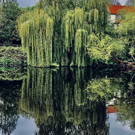 Crofton House Yarm