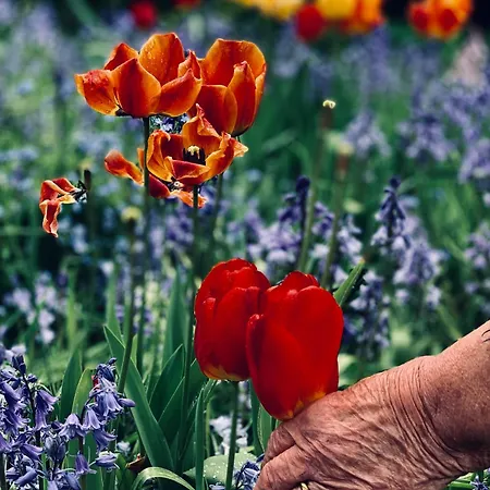 게스트하우스 Crofton House 얌