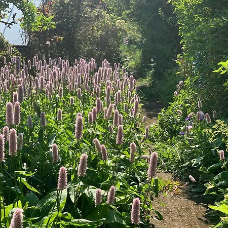 게스트하우스 Crofton House *